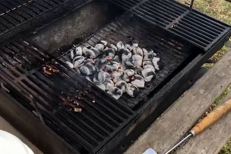 Why Do You Need to Extinguish The Charcoal Grill