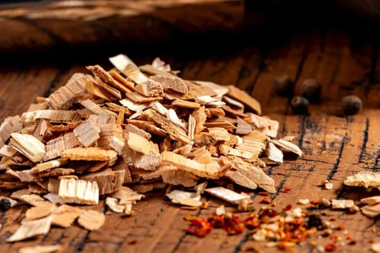 Best Wood chips for electric smoker: Complete List