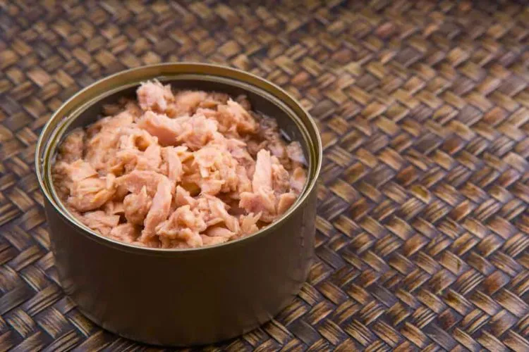 Can you heat up tuna? all you should know