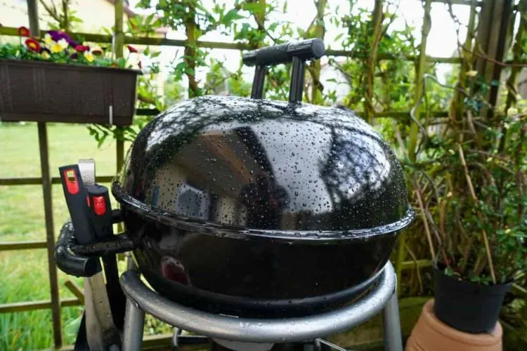Strategies for Using a Smoker in the Rain